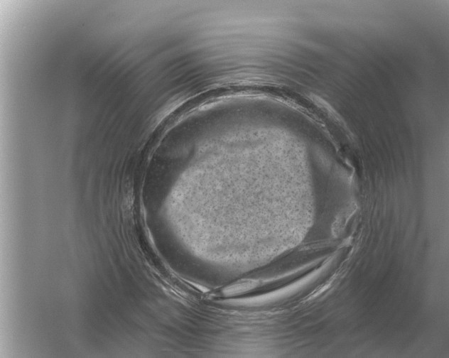 X0000055971065200509162152