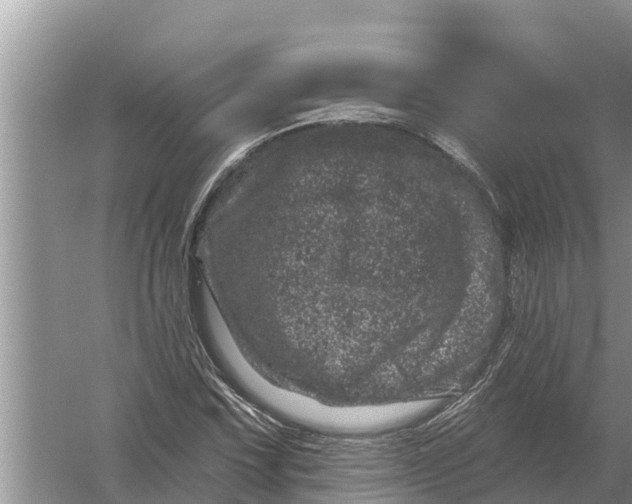 X0000055971067200509162152