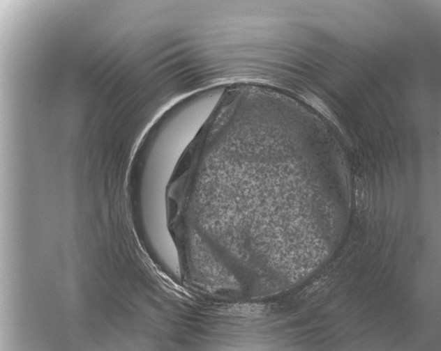 X0000055971068200509162152