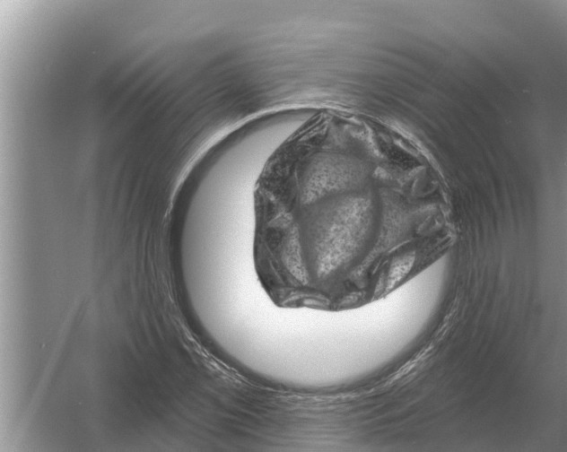 X0000055971069200509162152