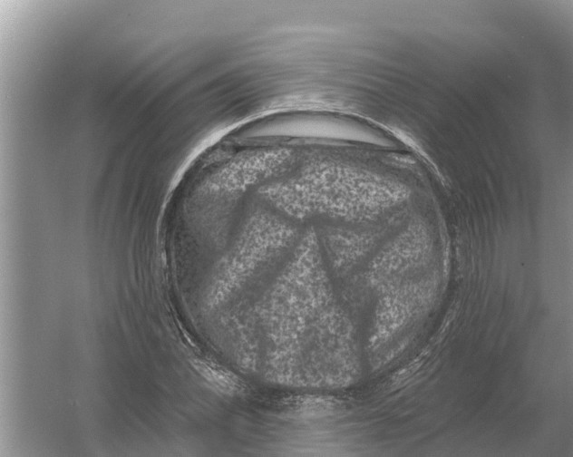 X0000055971070200509162152