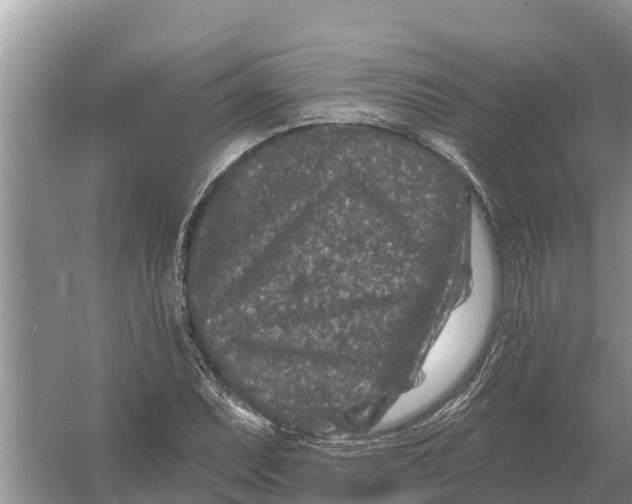 X0000055971071200509162152