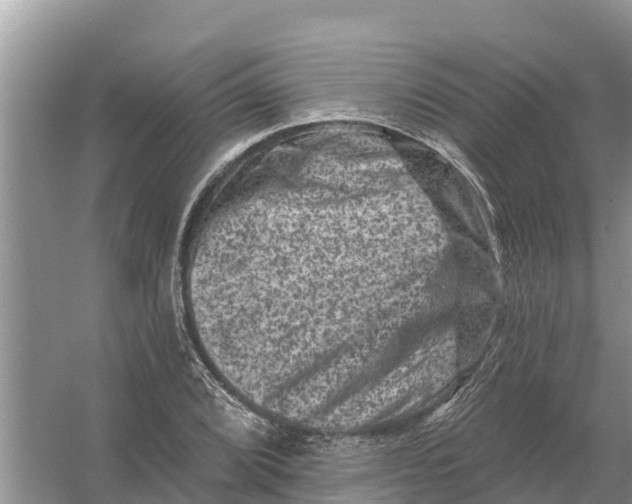 X0000055971072200509162152