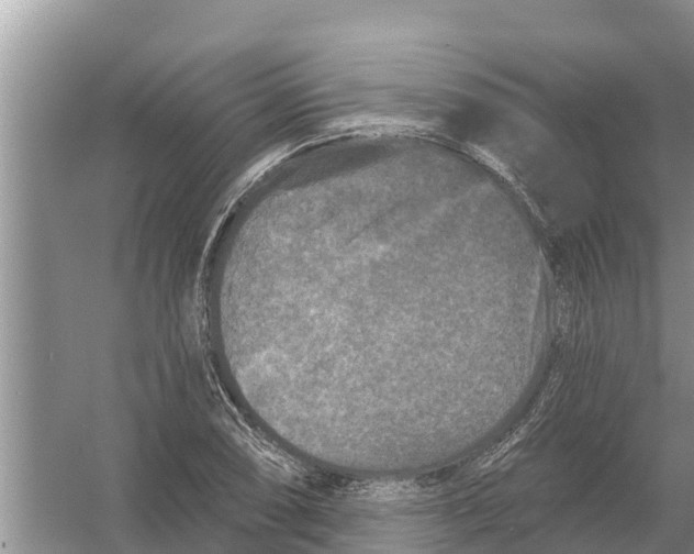 X0000055971074200509162152