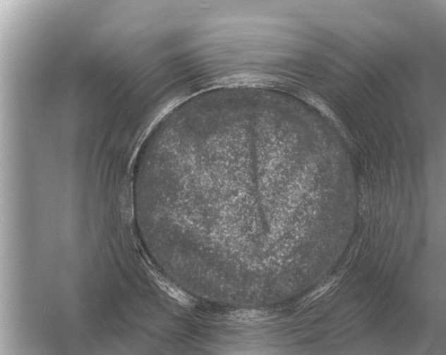 X0000055971075200509162152