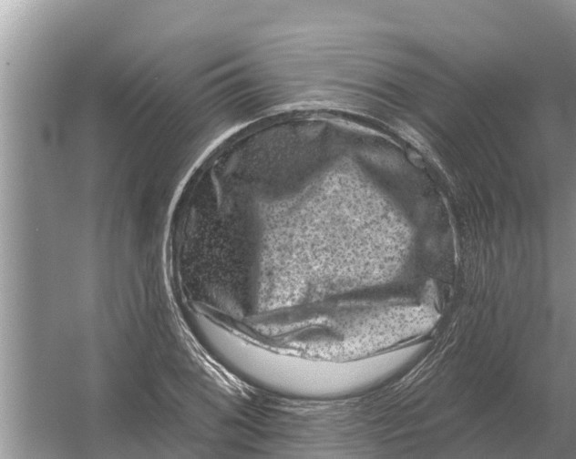 X0000055971076200509162152