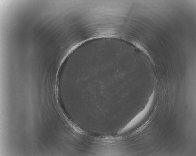 X0000055971077200509162152