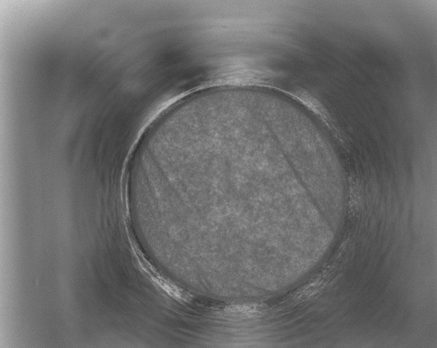 X0000055971078200509162152