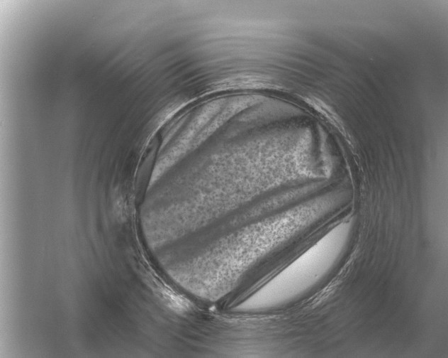 X0000055971081200509162152