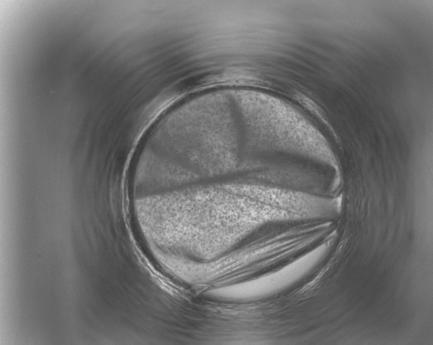 X0000055971082200509162152