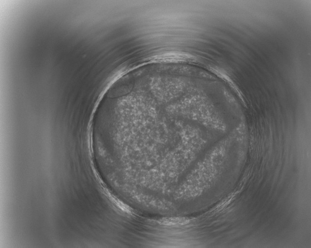 X0000055971083200509162152