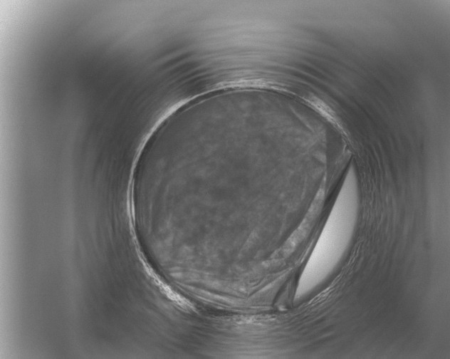 X0000055971084200509162152