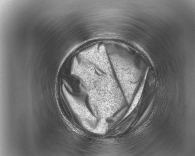 X0000055971085200509162152