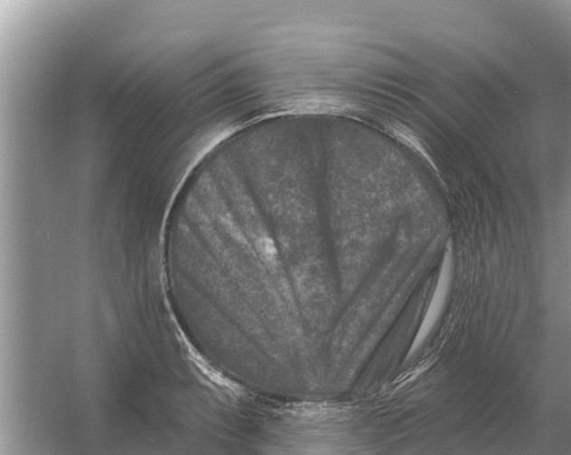 X0000055971087200509162152