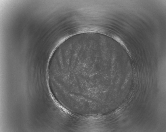 X0000055971088200509162152