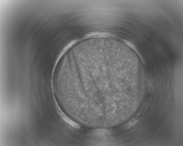 X0000055971090200509162152