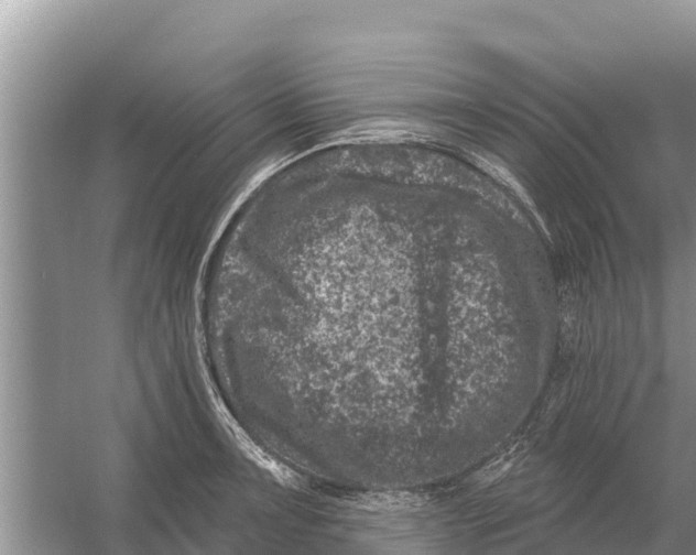 X0000055971091200509162152