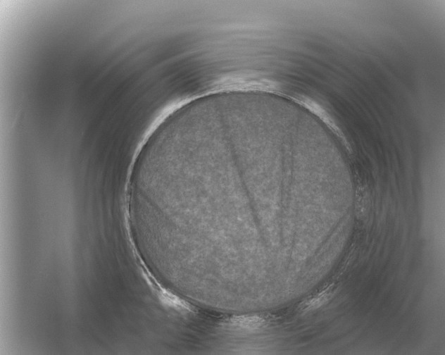 X0000055971094200509162152