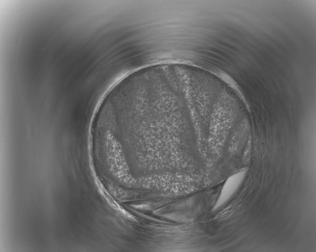 X0000055971096200509162152