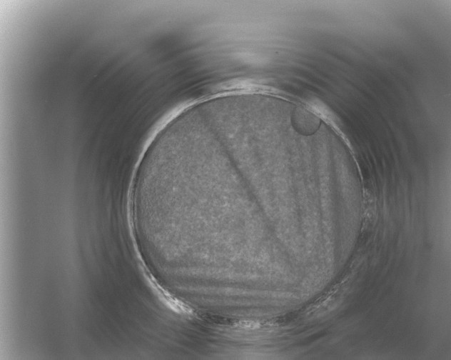 X0000055971098200509162152