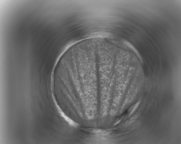 X0000055971099200509162152