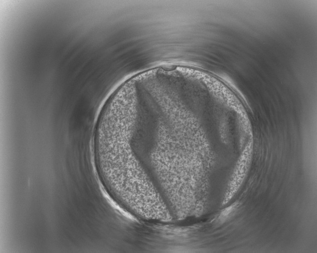 X0000055971100200509162152