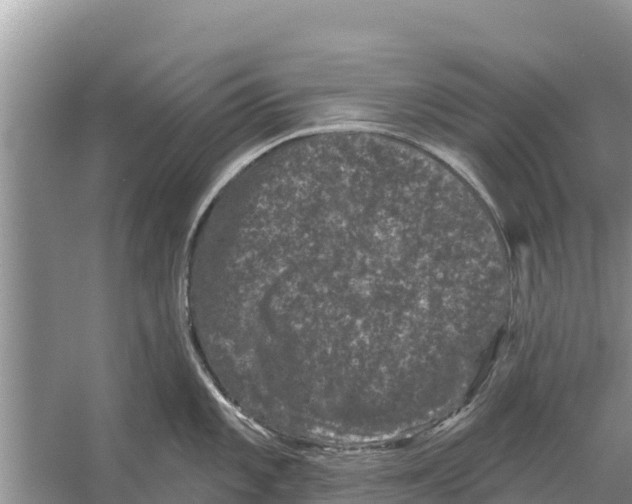 X0000055971101200509162152