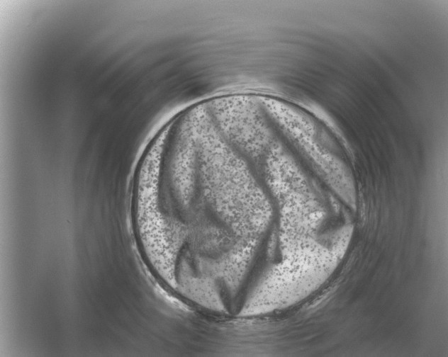 X0000055971102200509162152