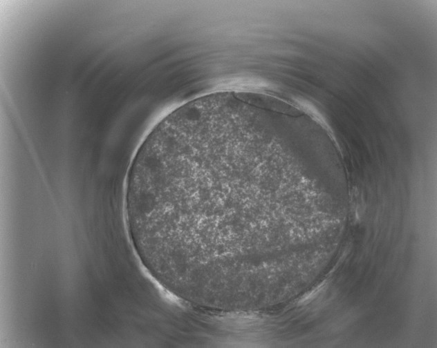 X0000055971103200509162152