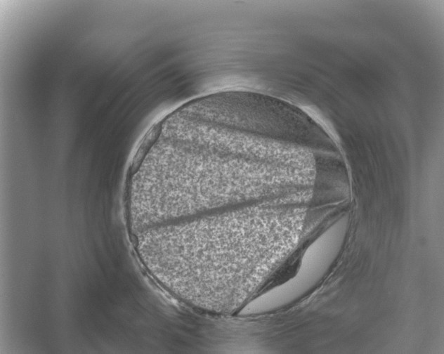 X0000055971104200509162152