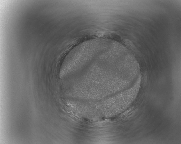 X0000055971105200509162151