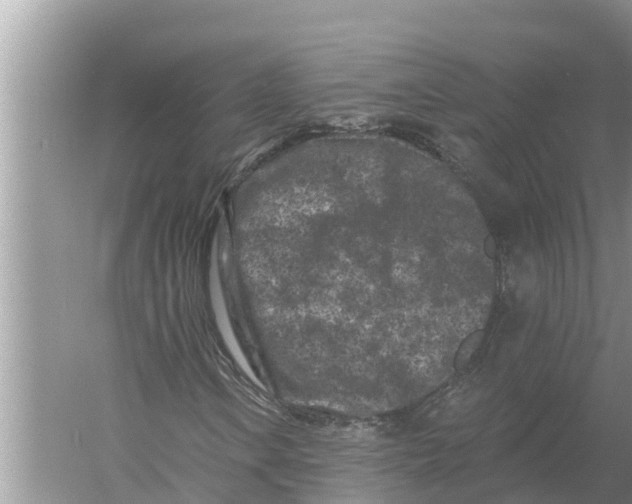 X0000055971106200509162151