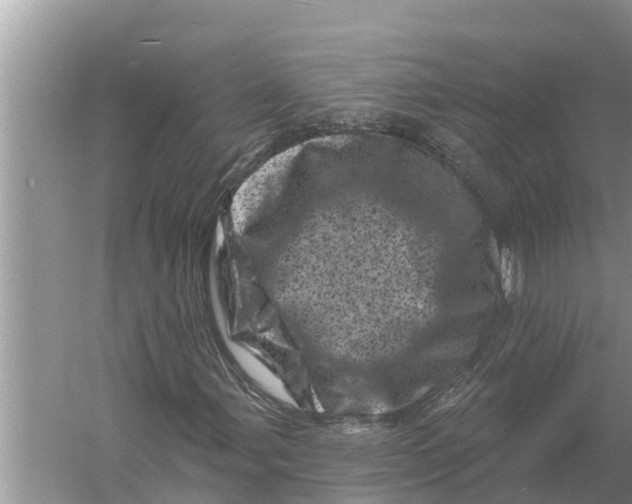 X0000055971107200509162151