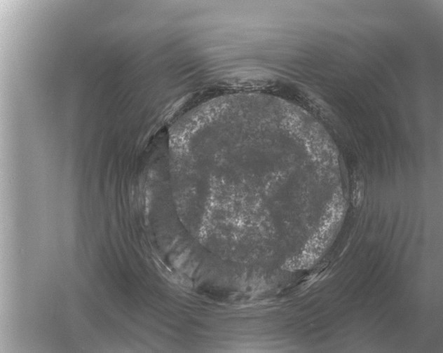 X0000055971108200509162151