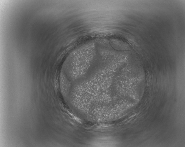 X0000055971109200509162151