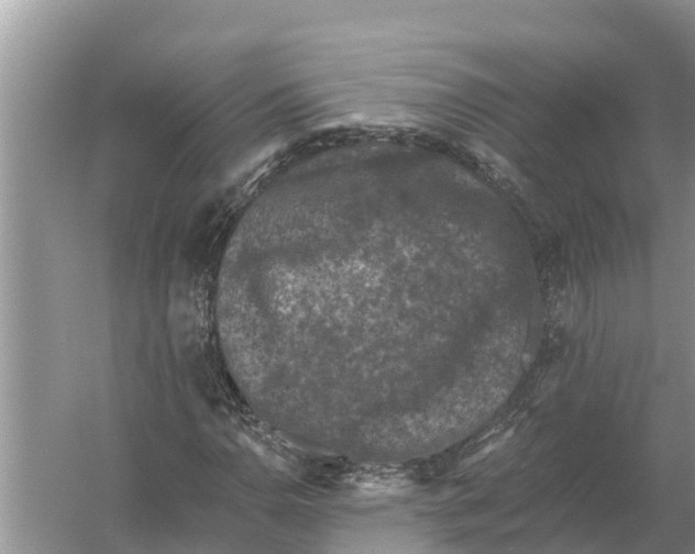 X0000055971110200509162151