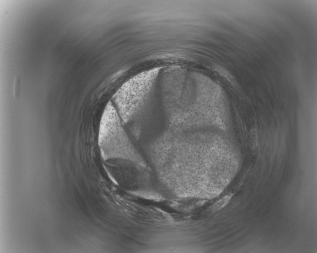 X0000055971111200509162151