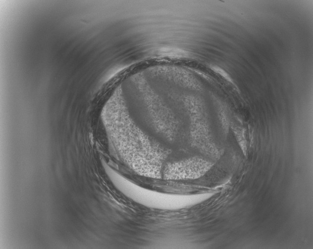 X0000055971112200509162151