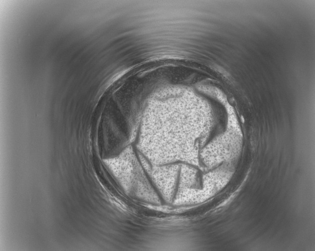 X0000055971113200509162151