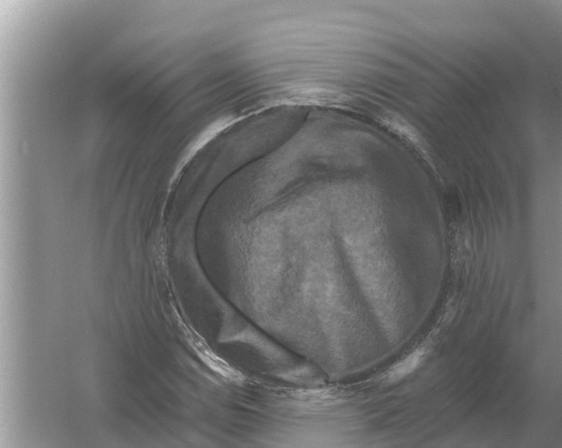 X0000055971114200509162151