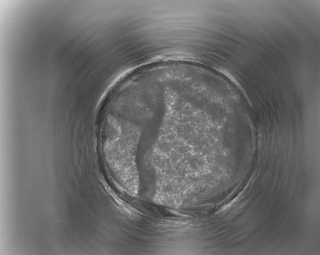 X0000055971115200509162151