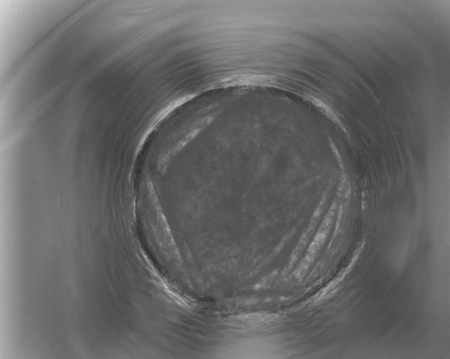 X0000055971117200509162151