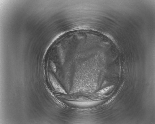 X0000055971118200509162151