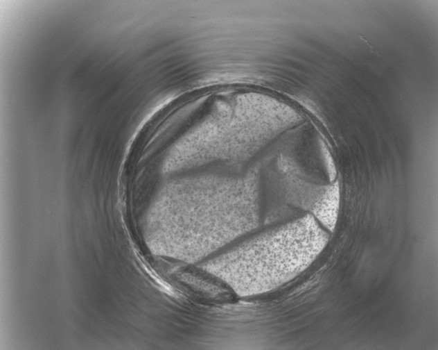 X0000055971119200509162151