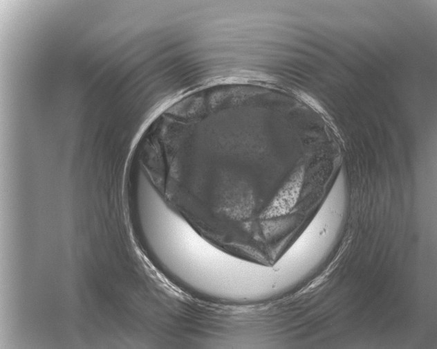 X0000055971122200509162151