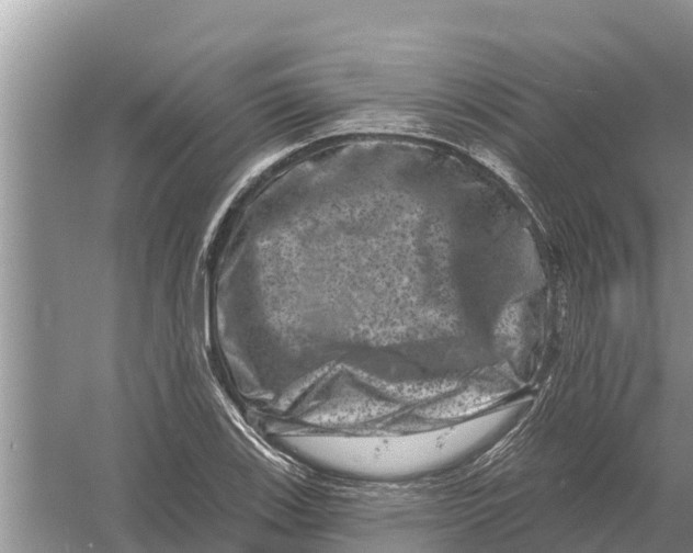 X0000055971123200509162151