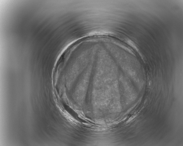 X0000055971124200509162151