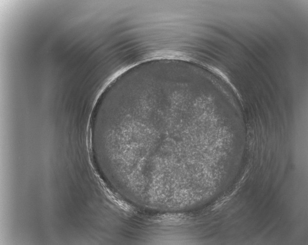 X0000055971125200509162151