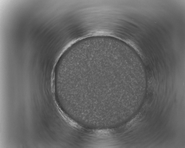 X0000055971126200509162151