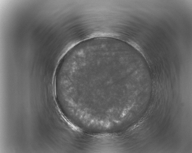 X0000055971127200509162151